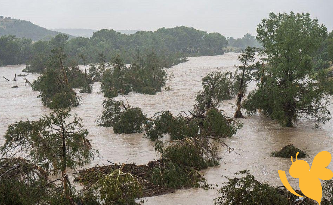 Death Toll Climbs to 24 in Hill Country Amid Ongoing Rescue Efforts