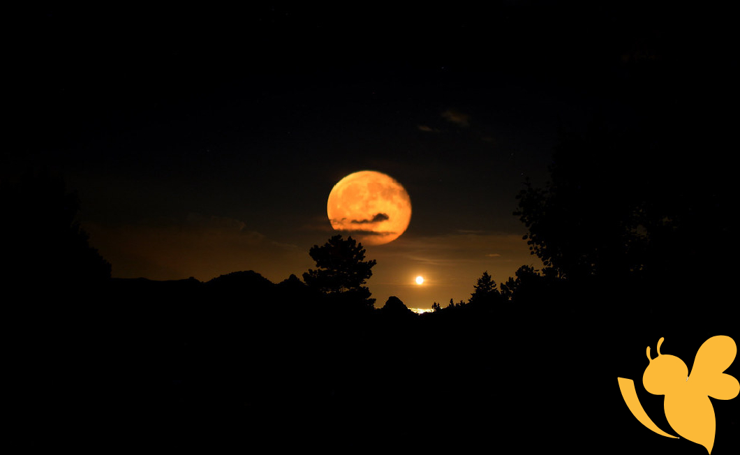 July’s Thunder Moon Will Illuminate the Night Sky This Week