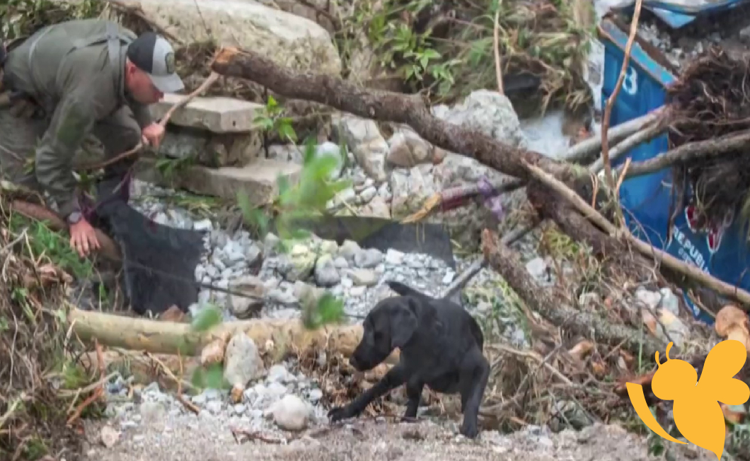 Texas Flooding: At Least 118 Dead, Over 170 Still Missing