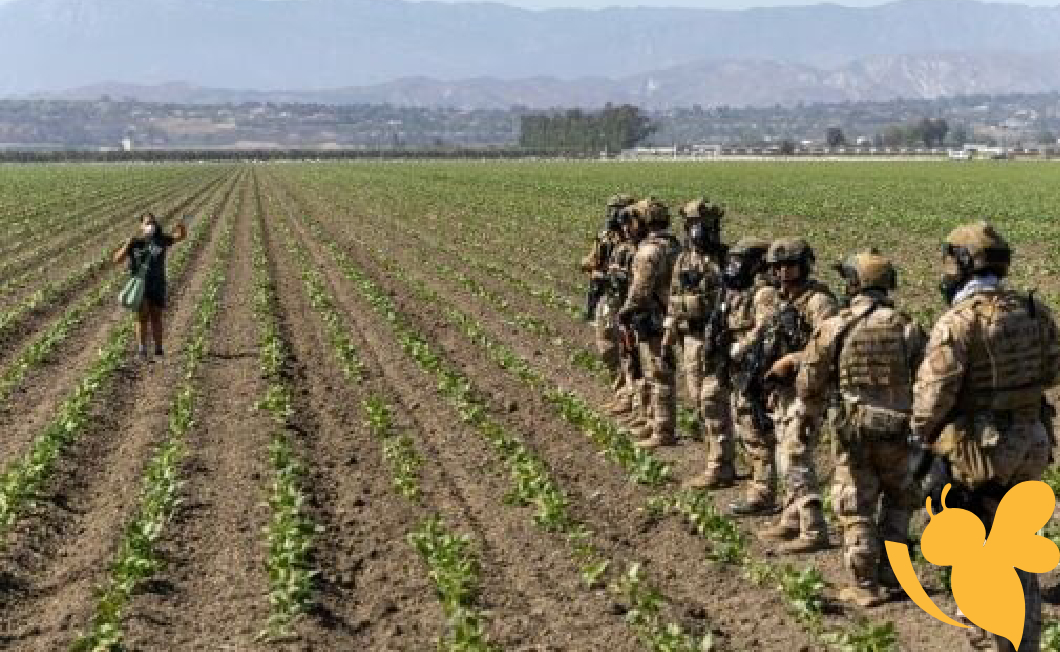 California farm worker dies following immigration raid