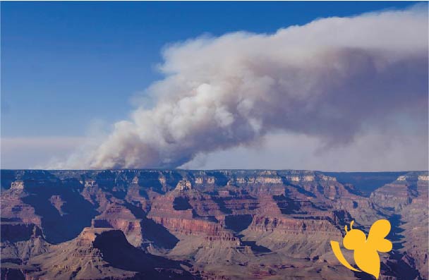 Wildfire Destroys Historic Grand Canyon Lodge, Forces Early Closure of North Rim