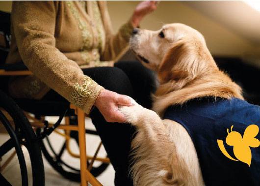 Dogs Are Capable of Detecting Parkinson&rsquo;s Years Ahead of Symptoms