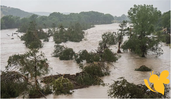 Number of People Still Missing after Flooding in Kerr County, Texas, Reduced to three