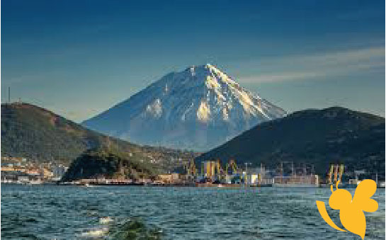 Tsunami Threat Ends Following Series of Powerful Earthquakes off Russias Pacific Coast