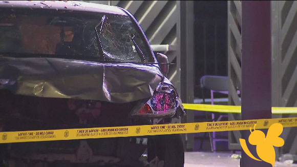 30 Injured, 7 Critically, After Driver Plows Into L.A. Crowd; Bystanders Shoot Suspect