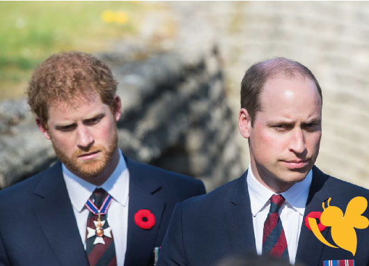 Prince William and Harry Mourn Cousin Aged 20 Found Dead Near Firearm