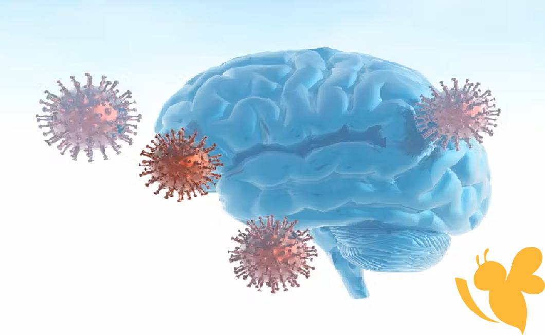 Brains Aged During Pandemic, Not Just From COVID, Study Reveals