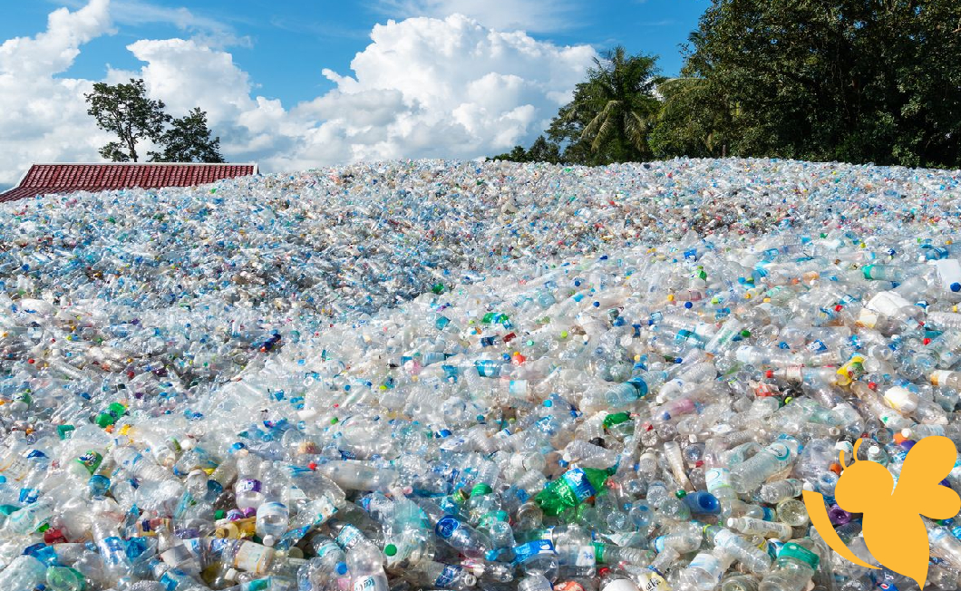Turning Trash into Treatment: Modified Bacteria Convert Plastic to Painkillers