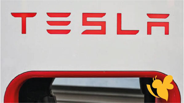 Tesla Shares Fall After Earnings Miss, Musk Warns of Challenging Quarters Ahead