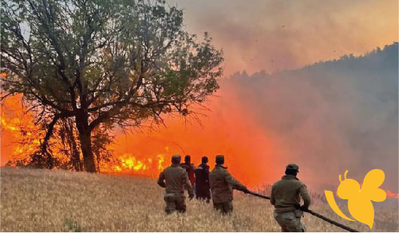Wildfire in T&uuml;rkiye Claims Lives of 10 Firefighters and Rescue Workers Amid Scorching Heat
